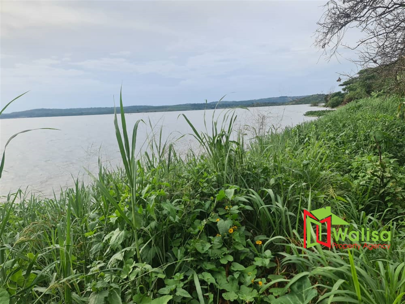 Agricultural Land for sale in Naijja Buyikwe
