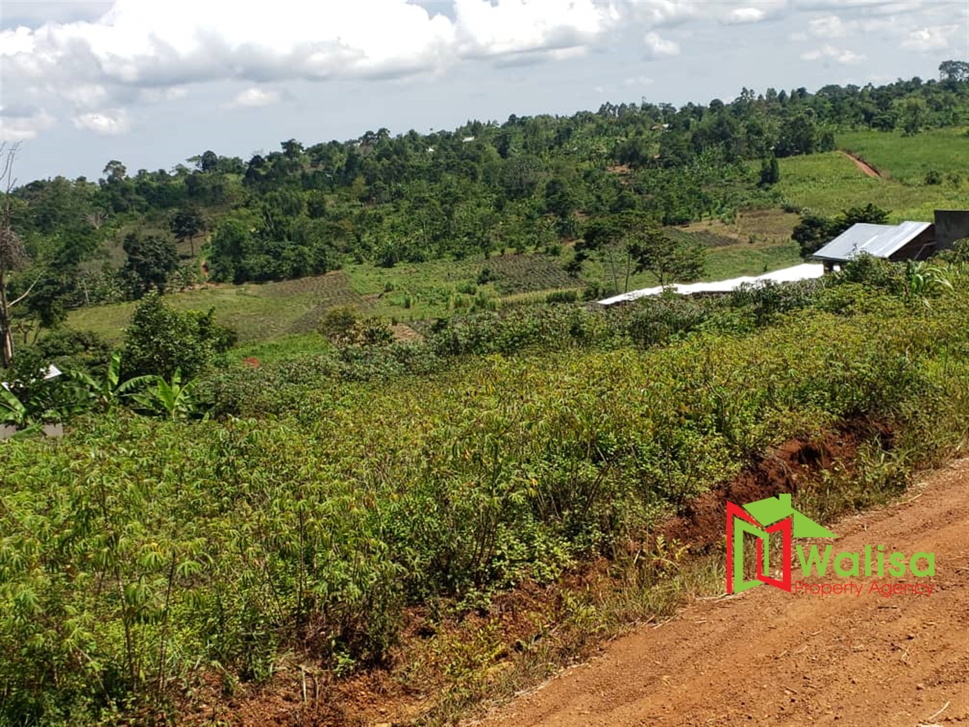 Agricultural Land for sale in Lugasa Buyikwe