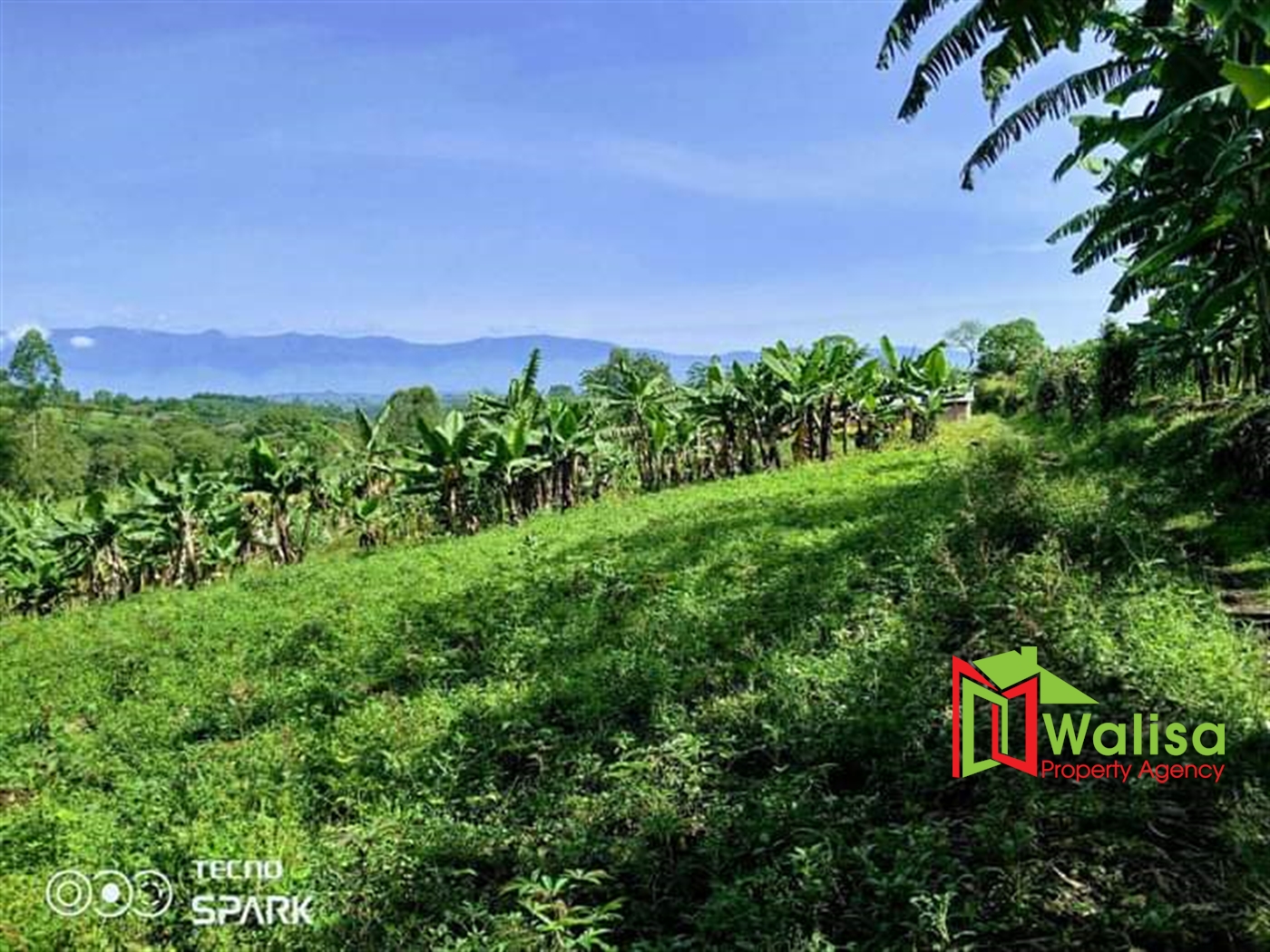 Agricultural Land for sale in Bugerere Mukono