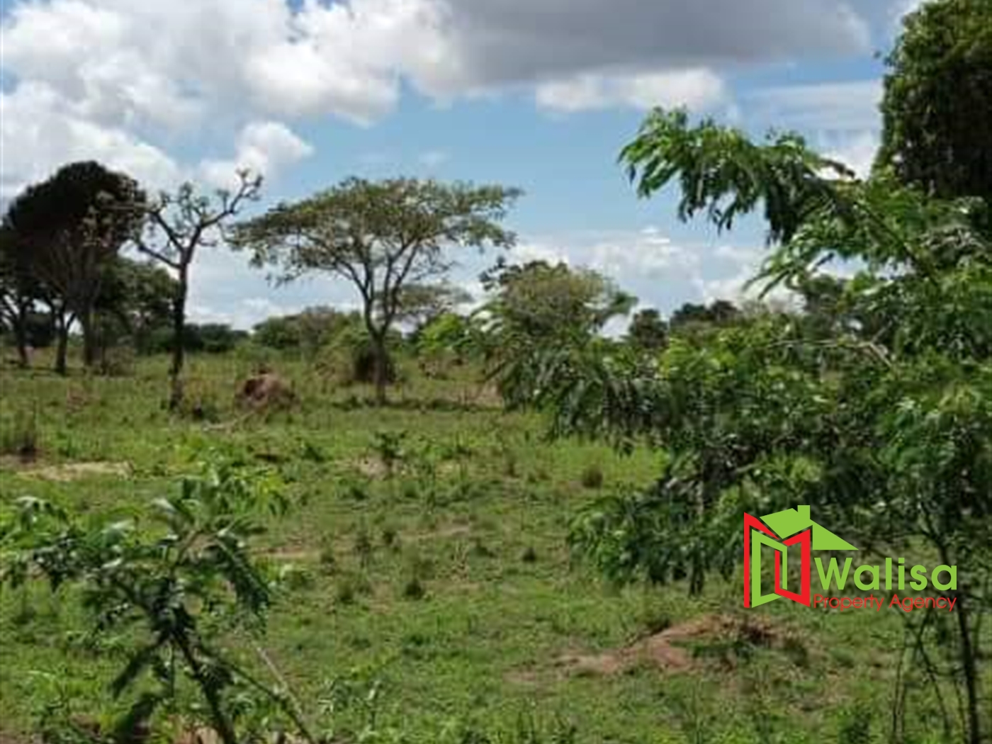 Agricultural Land for sale in Bugerere Mukono