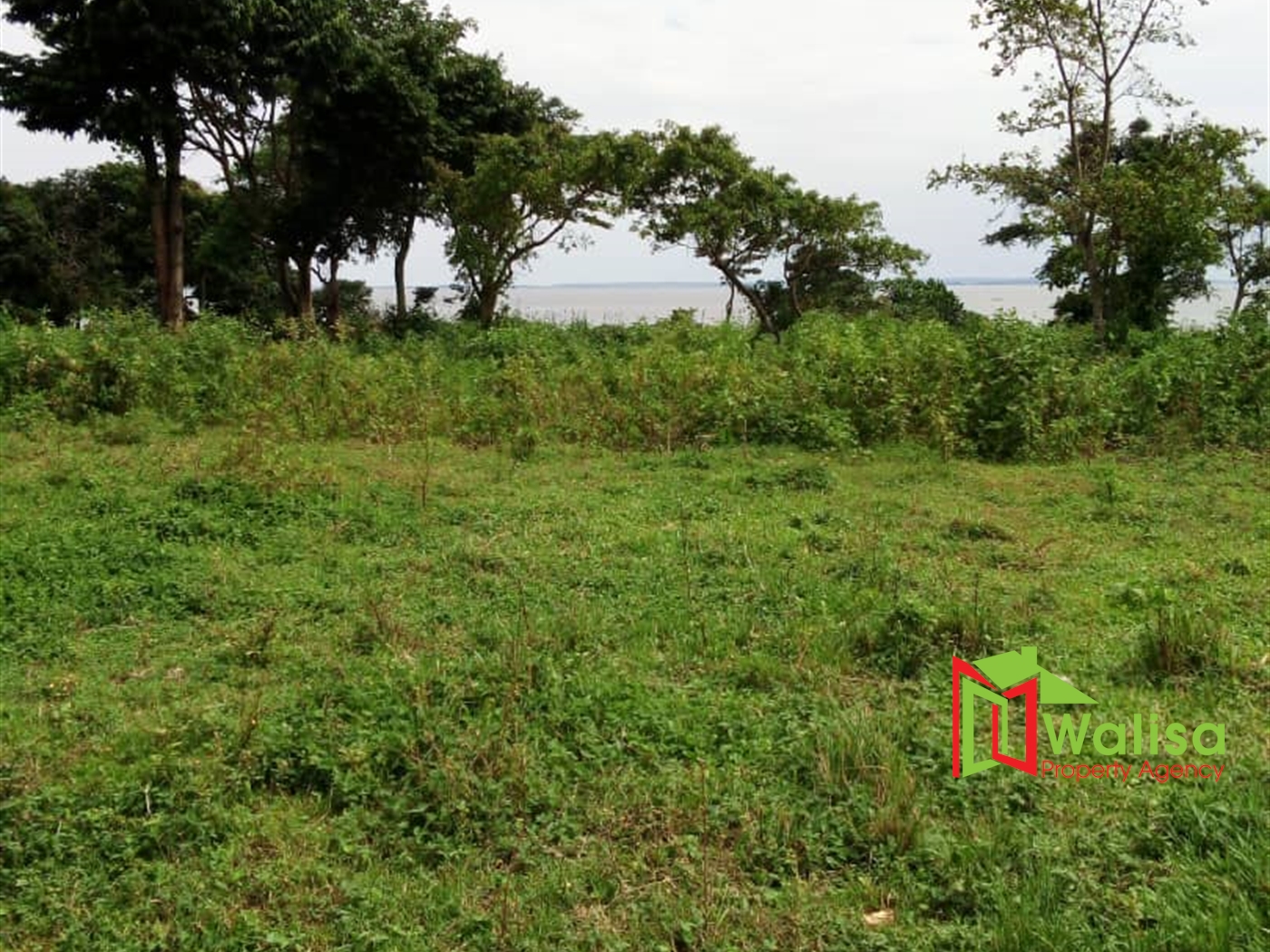 Commercial Land for sale in Kiwuulwe Kampala