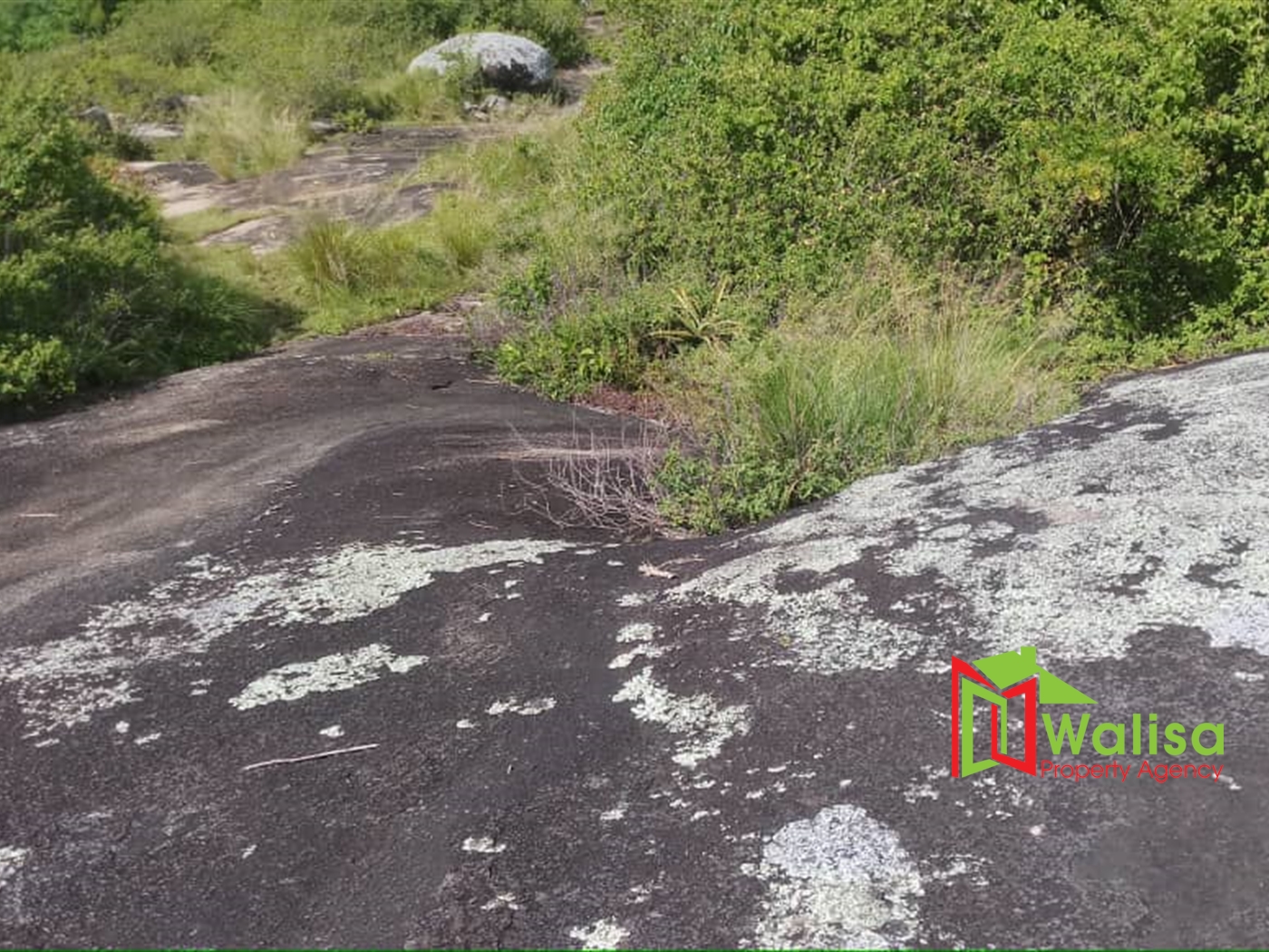 Stone quarry for sale in Nkokonjeru Buyikwe