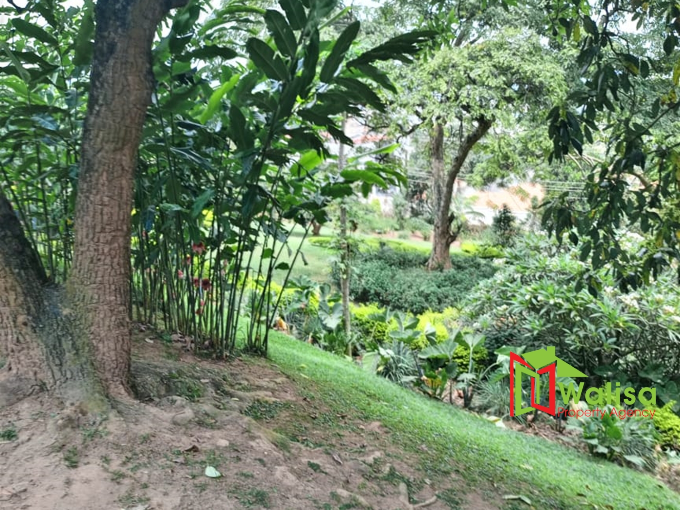 Commercial Land for sale in Muyenga Kampala