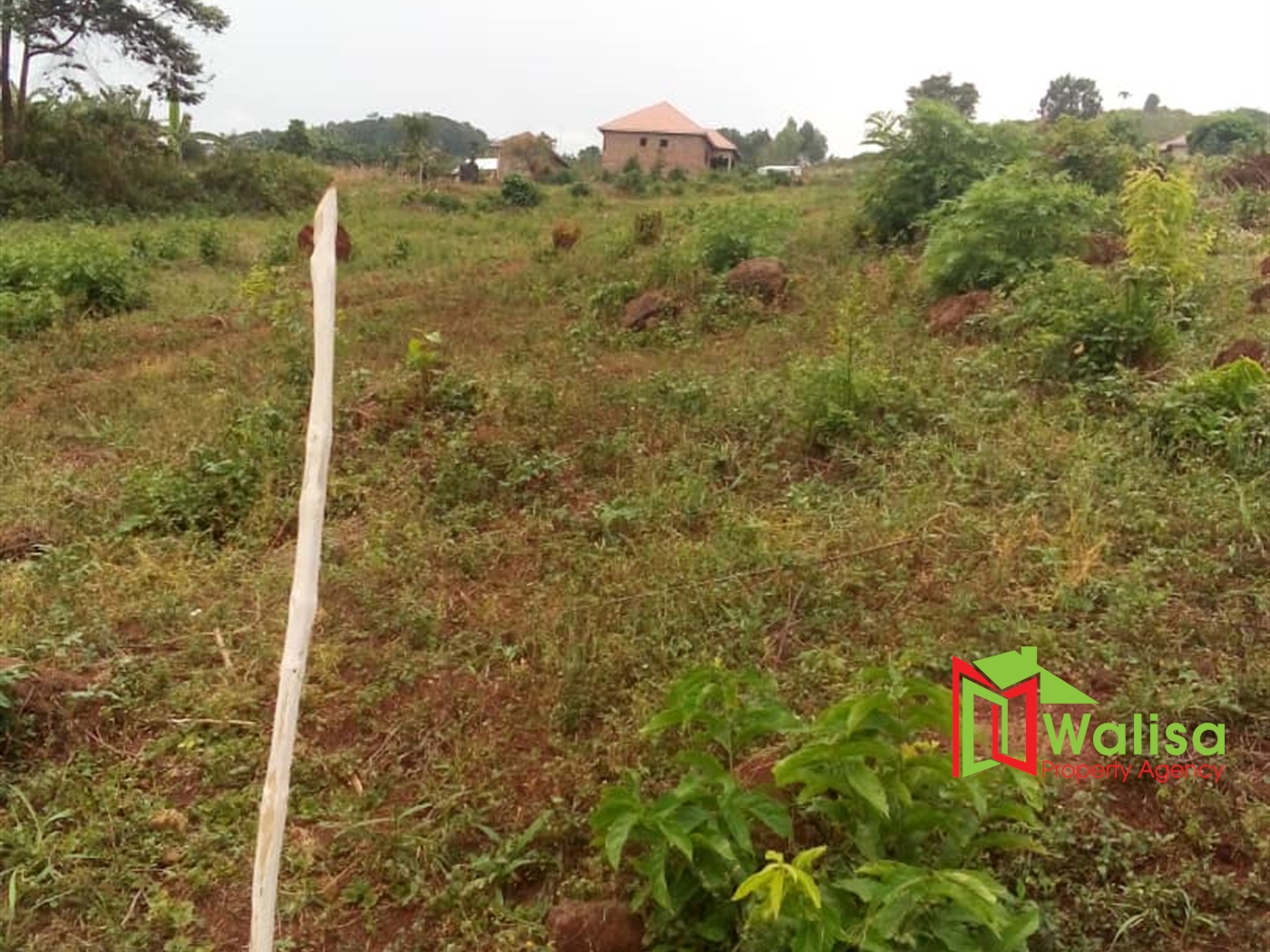 Commercial Land for sale in Namataba Mukono