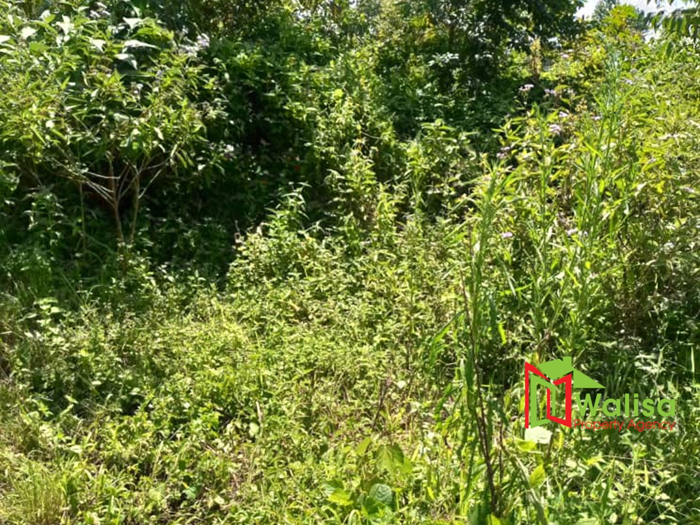 Agricultural Land for sale in Babaale Masaka