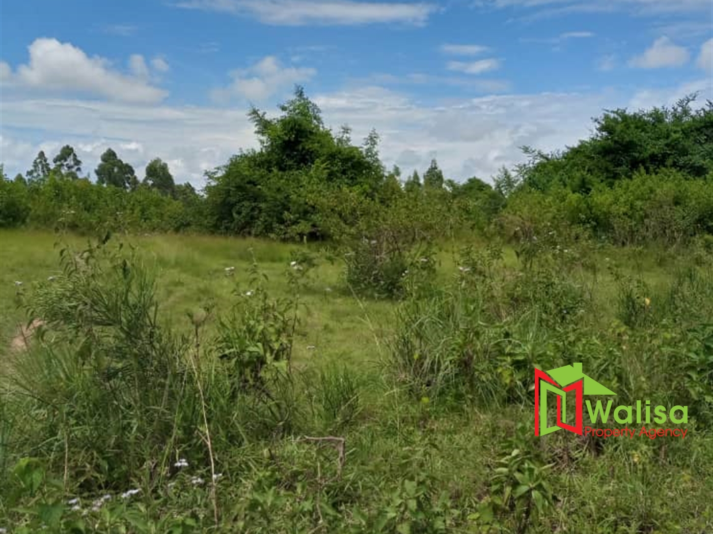 Agricultural Land for sale in Babaale Masaka