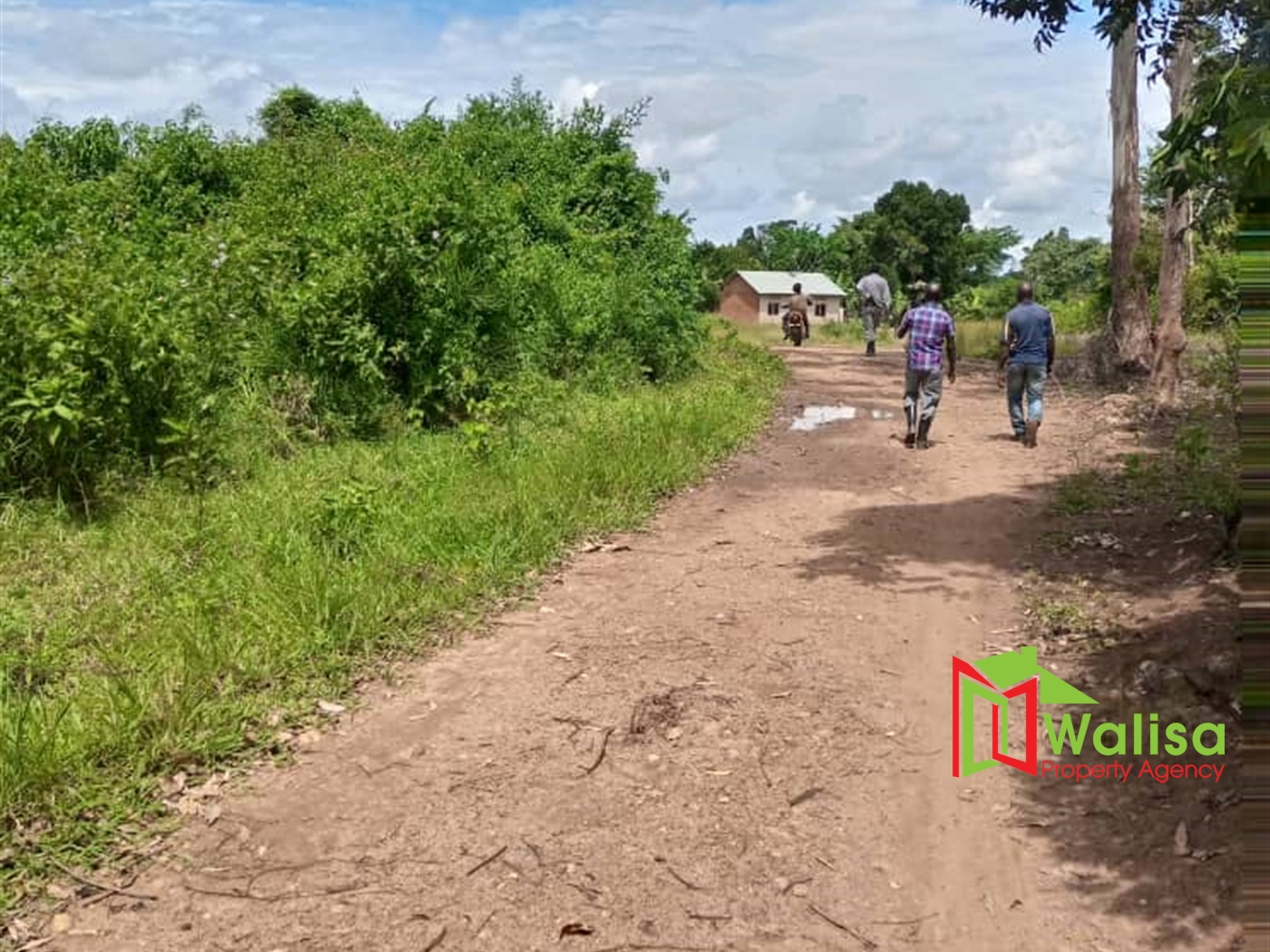 Agricultural Land for sale in Babaale Masaka