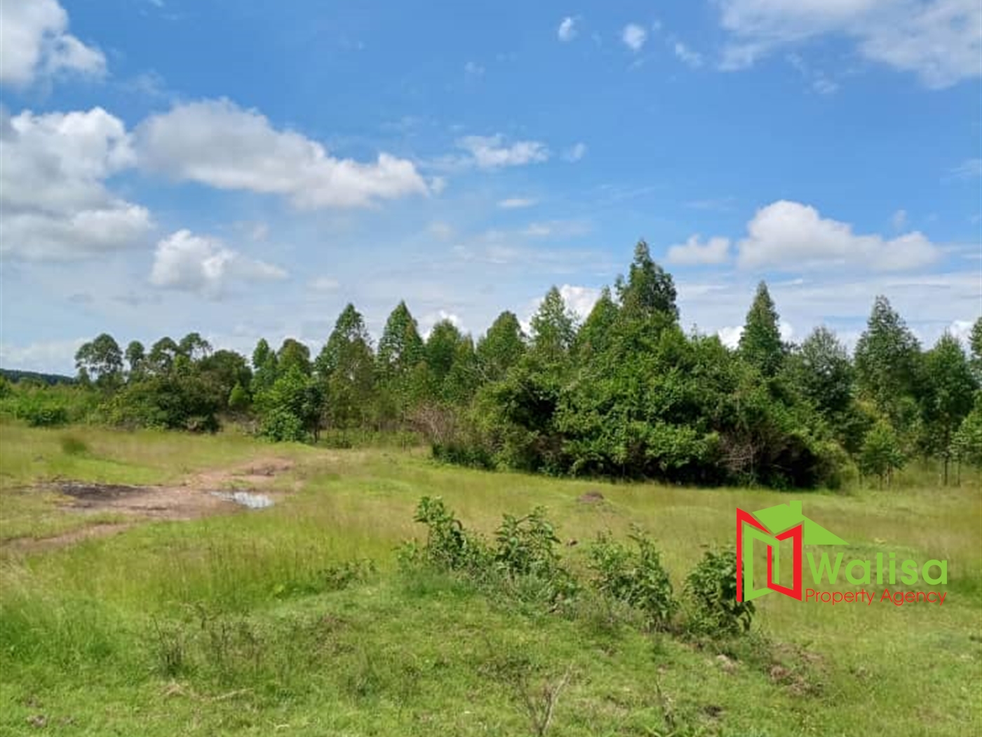 Agricultural Land for sale in Babaale Masaka