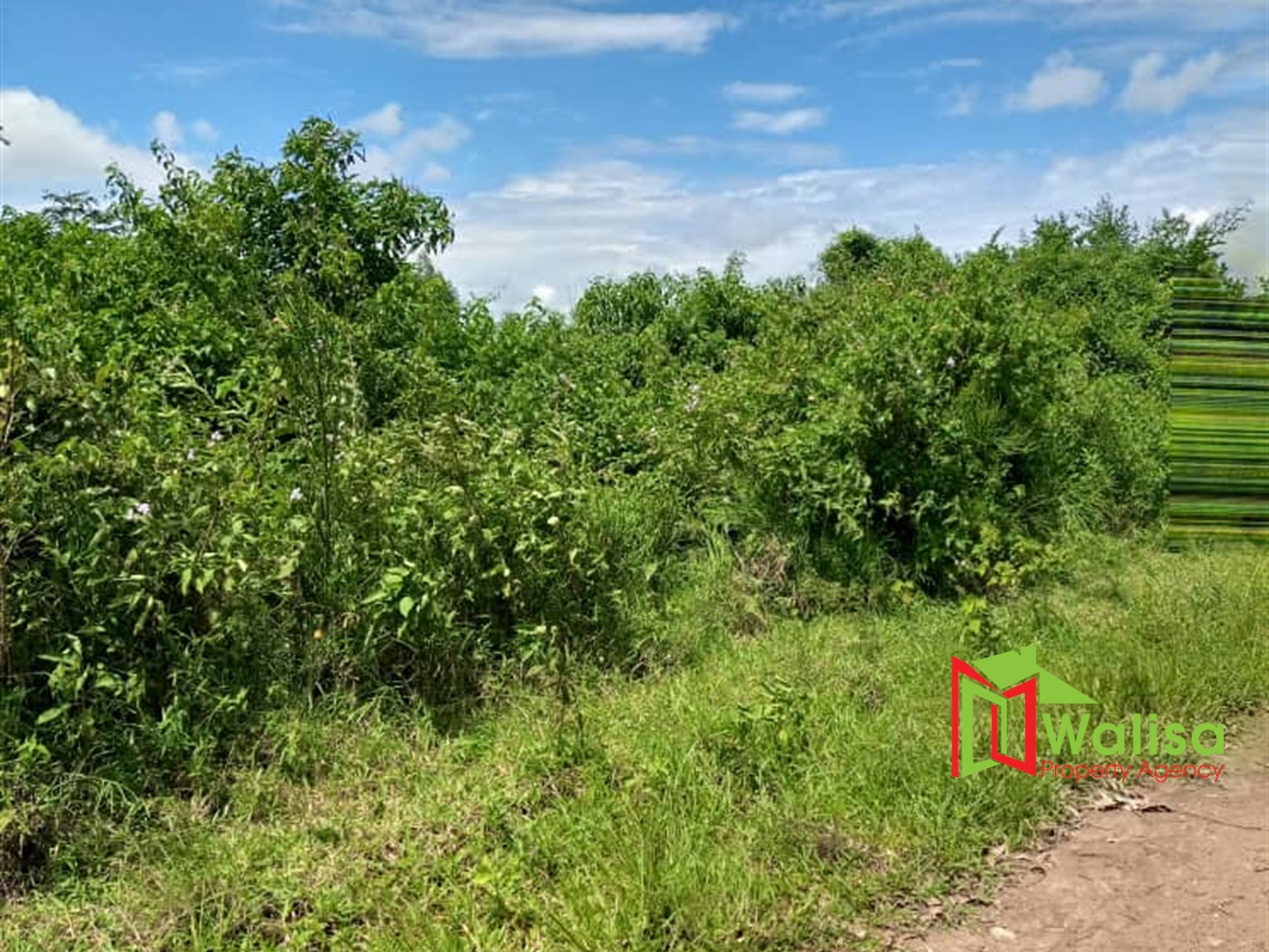 Agricultural Land for sale in Babaale Masaka