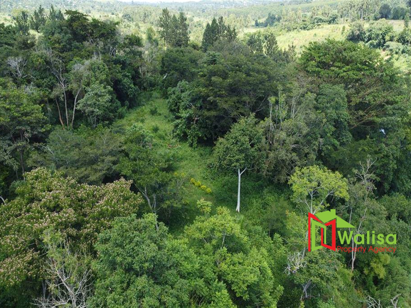 Commercial Land for sale in Kirunga Jinja