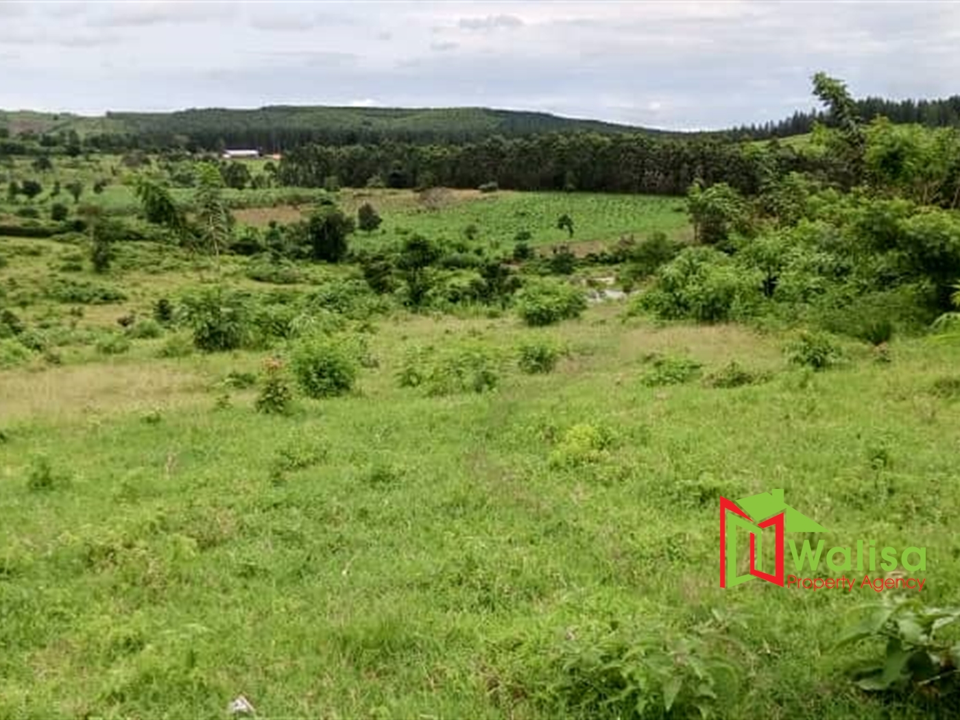 Agricultural Land for sale in Kyenda Mubende