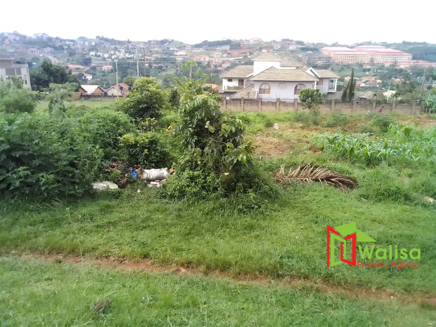 Commercial Land for sale in Bwebajja Wakiso