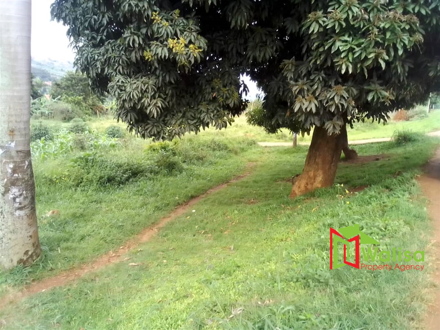 Commercial Land for sale in Bwebajja Wakiso