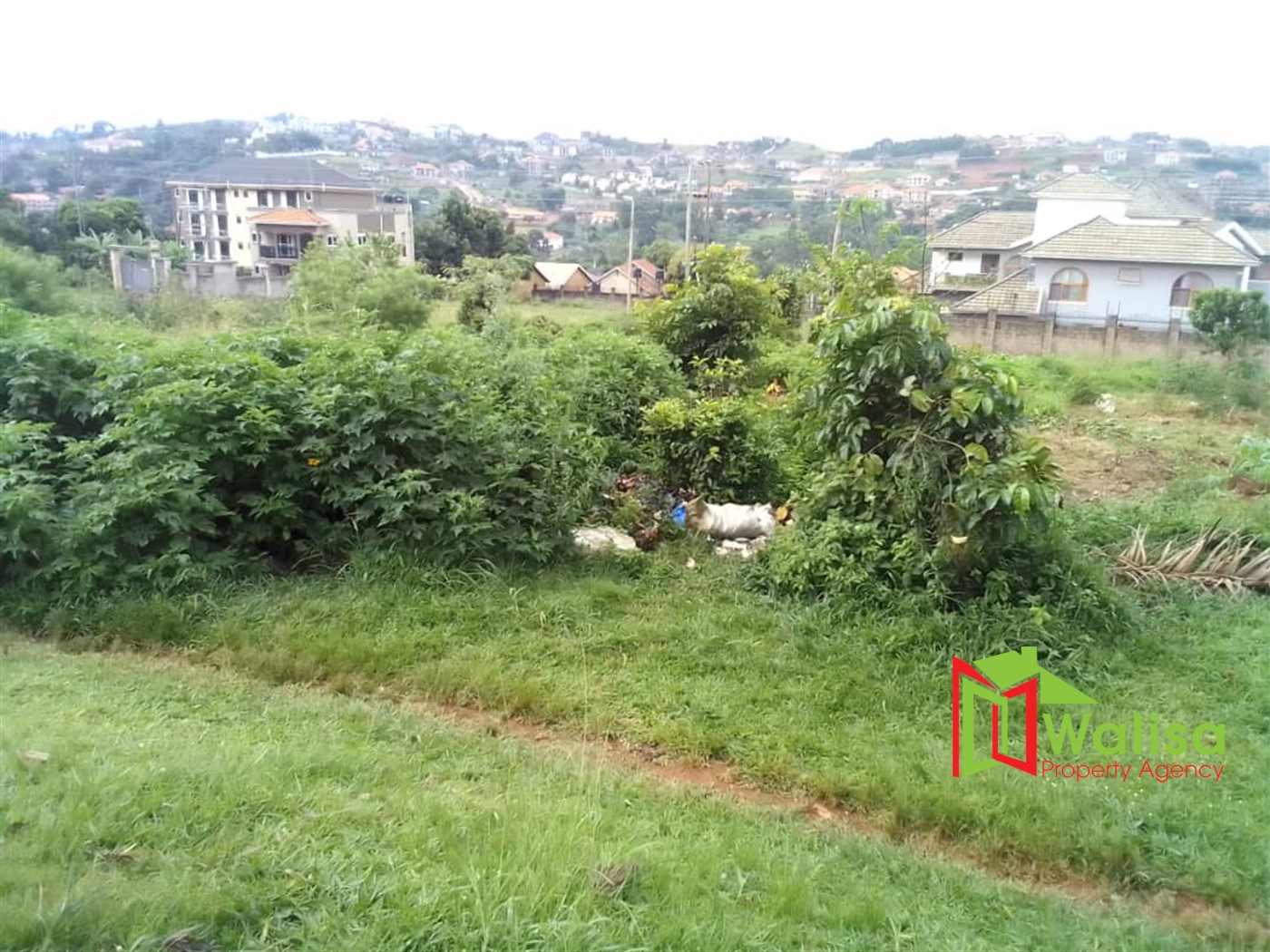 Commercial Land for sale in Bwebajja Wakiso