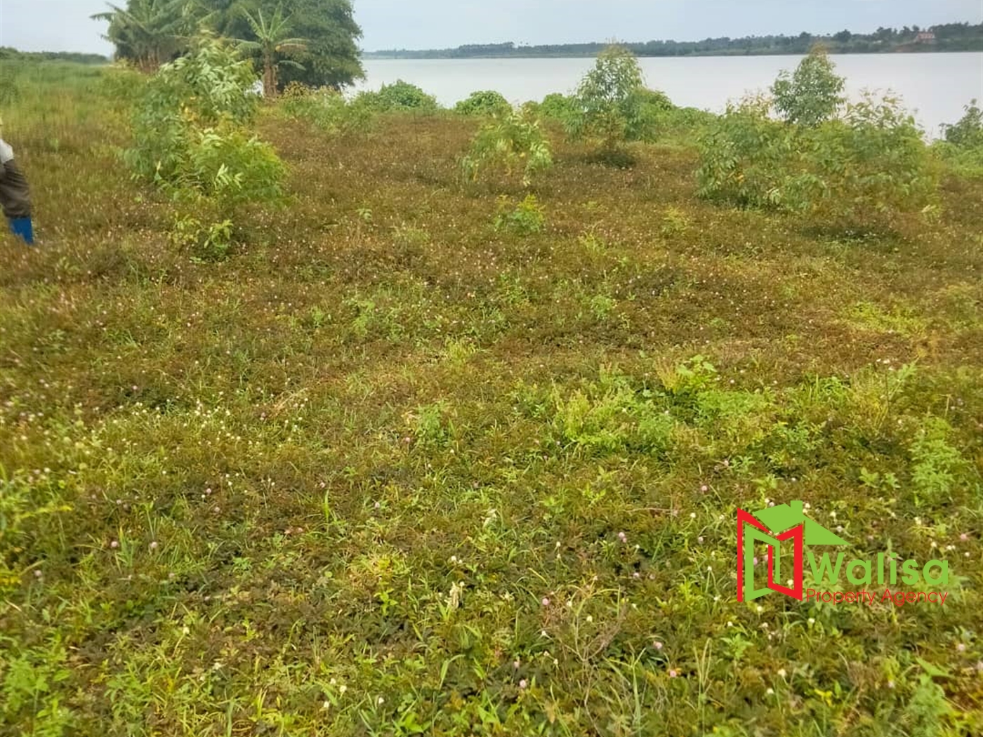 Multipurpose Land for sale in Kisawo Kayunga