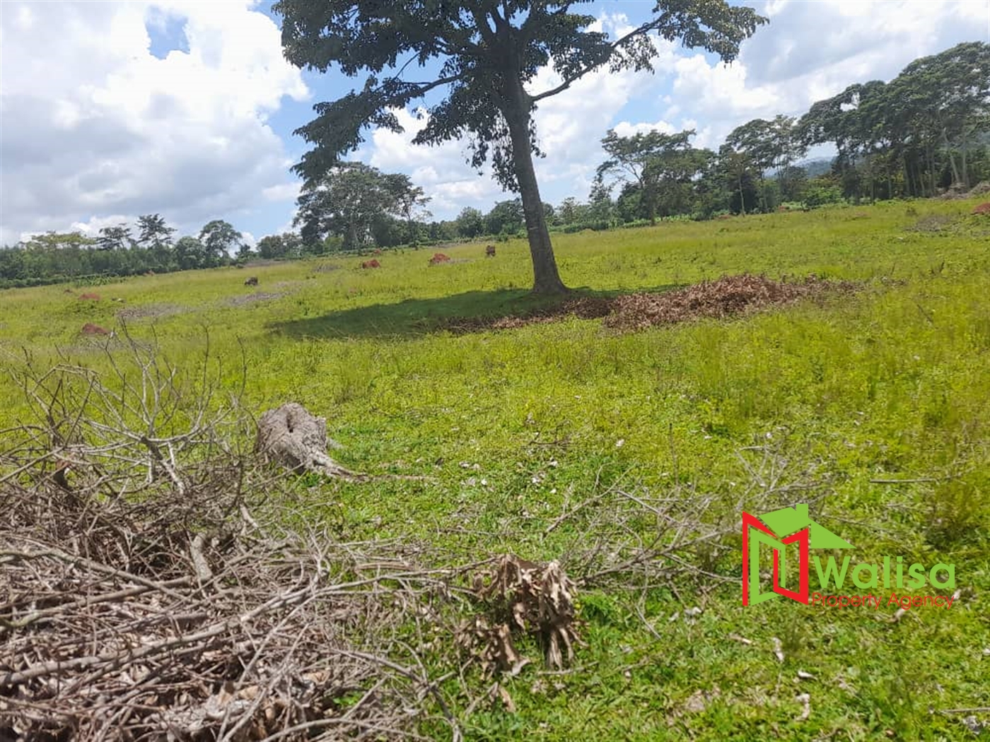 Farm for sale in Kiyunga Kayunga