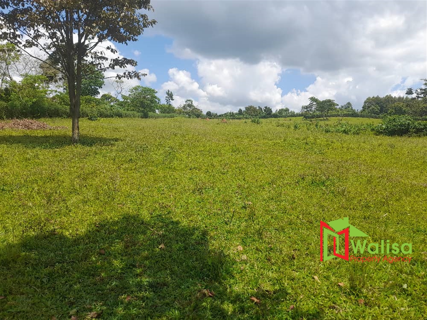 Farm for sale in Kiyunga Kayunga