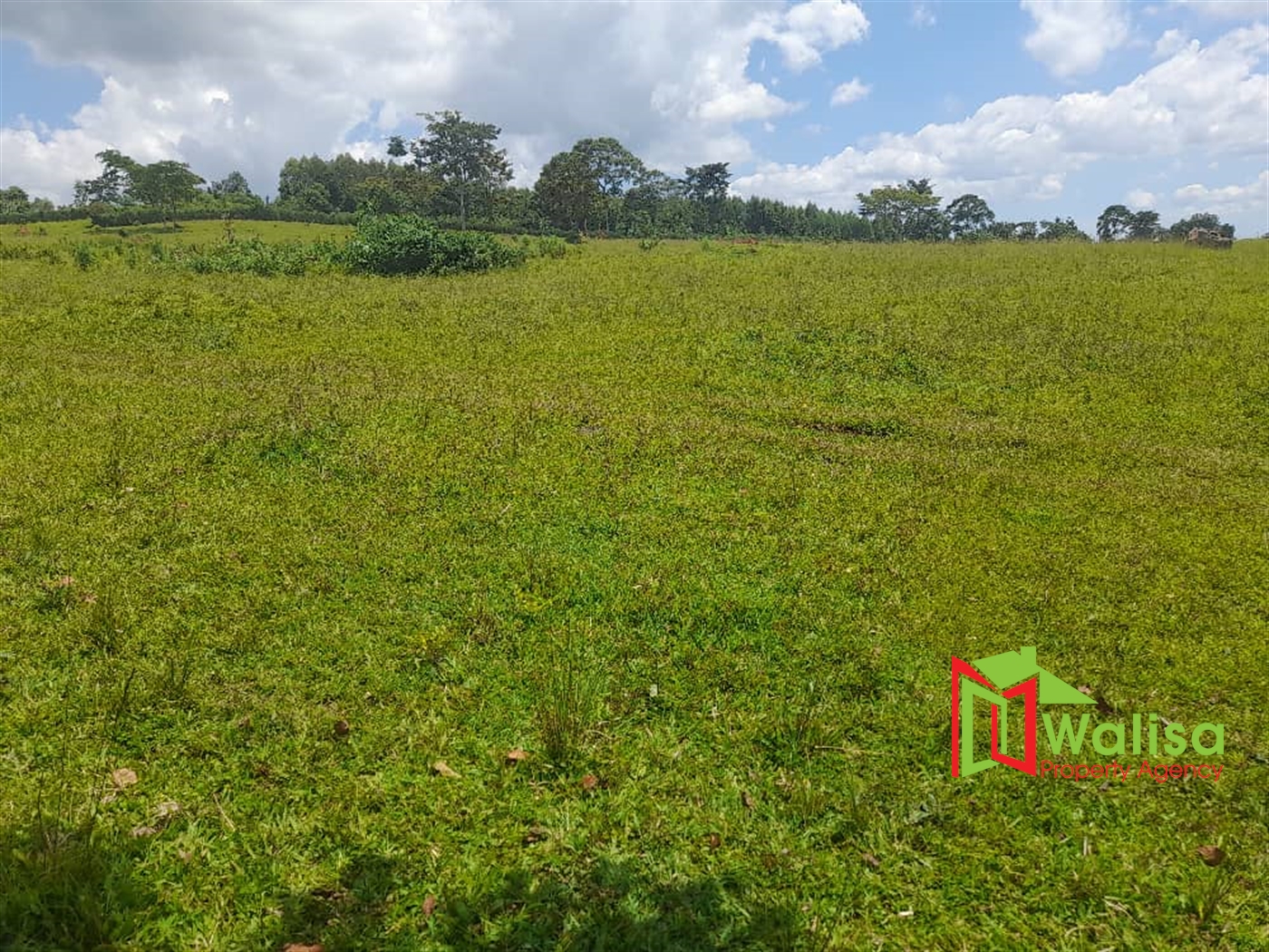 Farm for sale in Kiyunga Kayunga