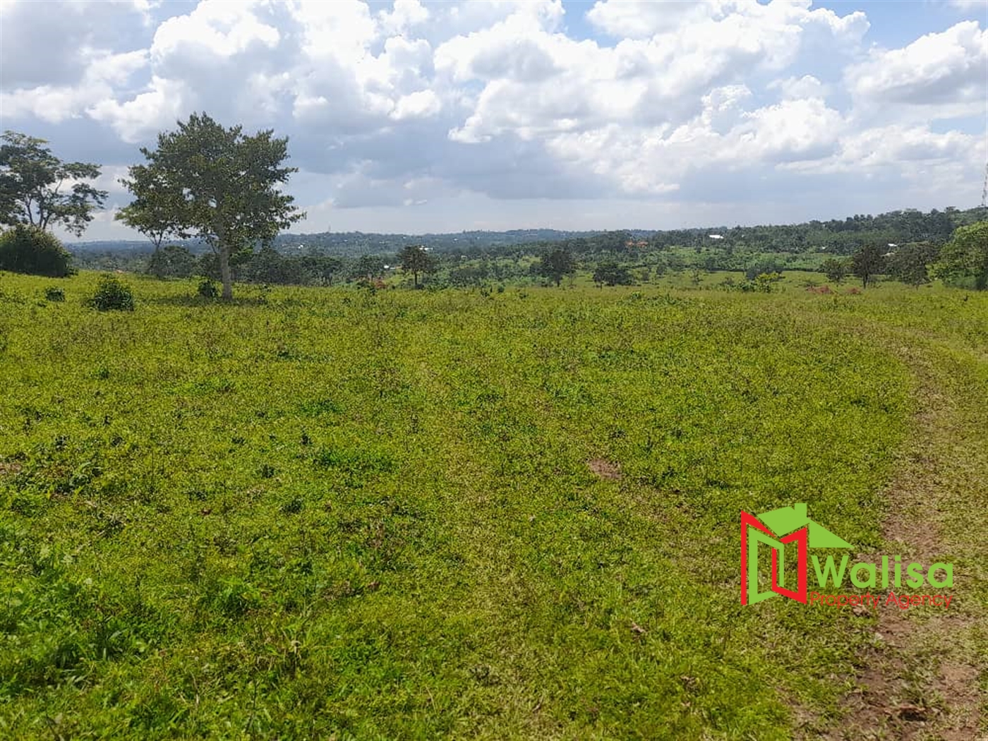 Farm for sale in Kiyunga Kayunga