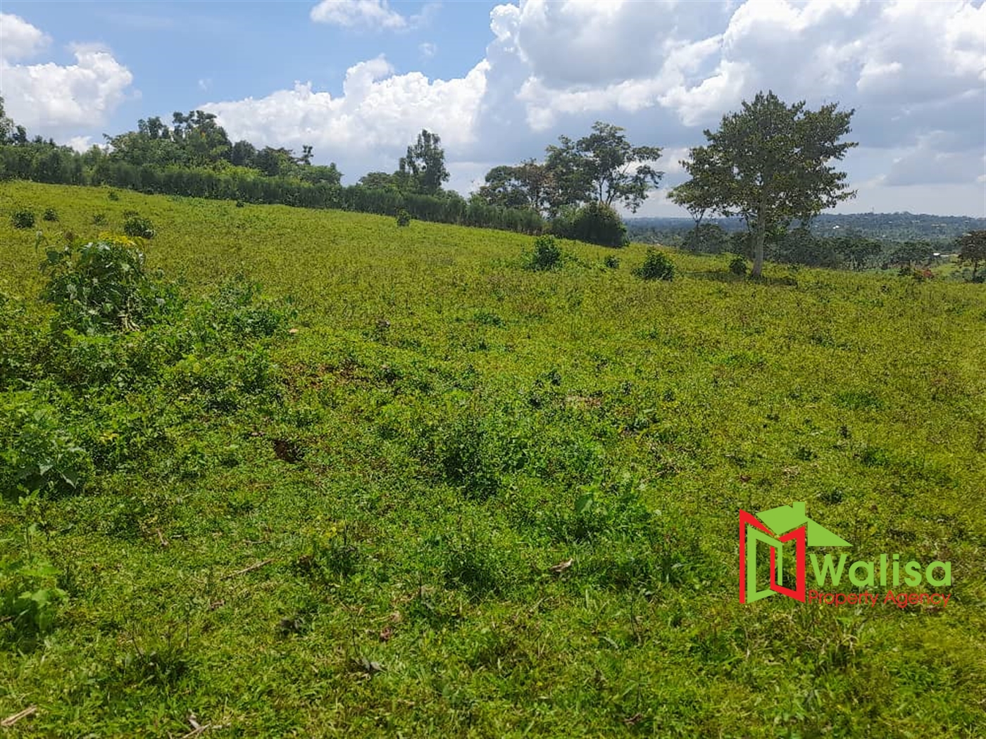 Farm for sale in Kiyunga Kayunga