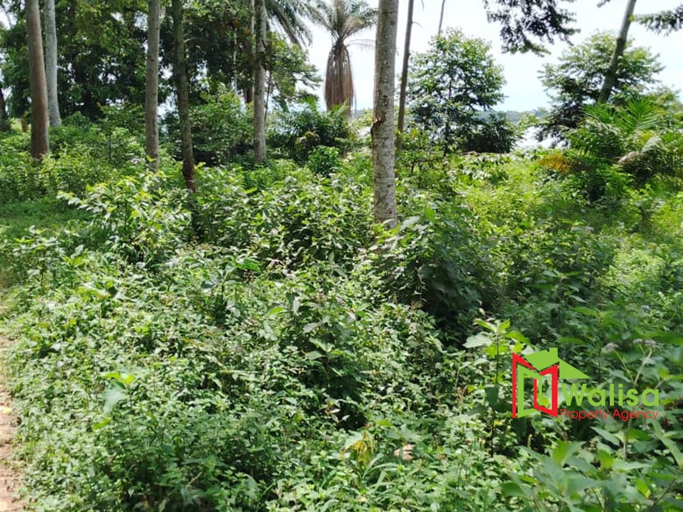 Commercial Land for sale in Bukasa Wakiso