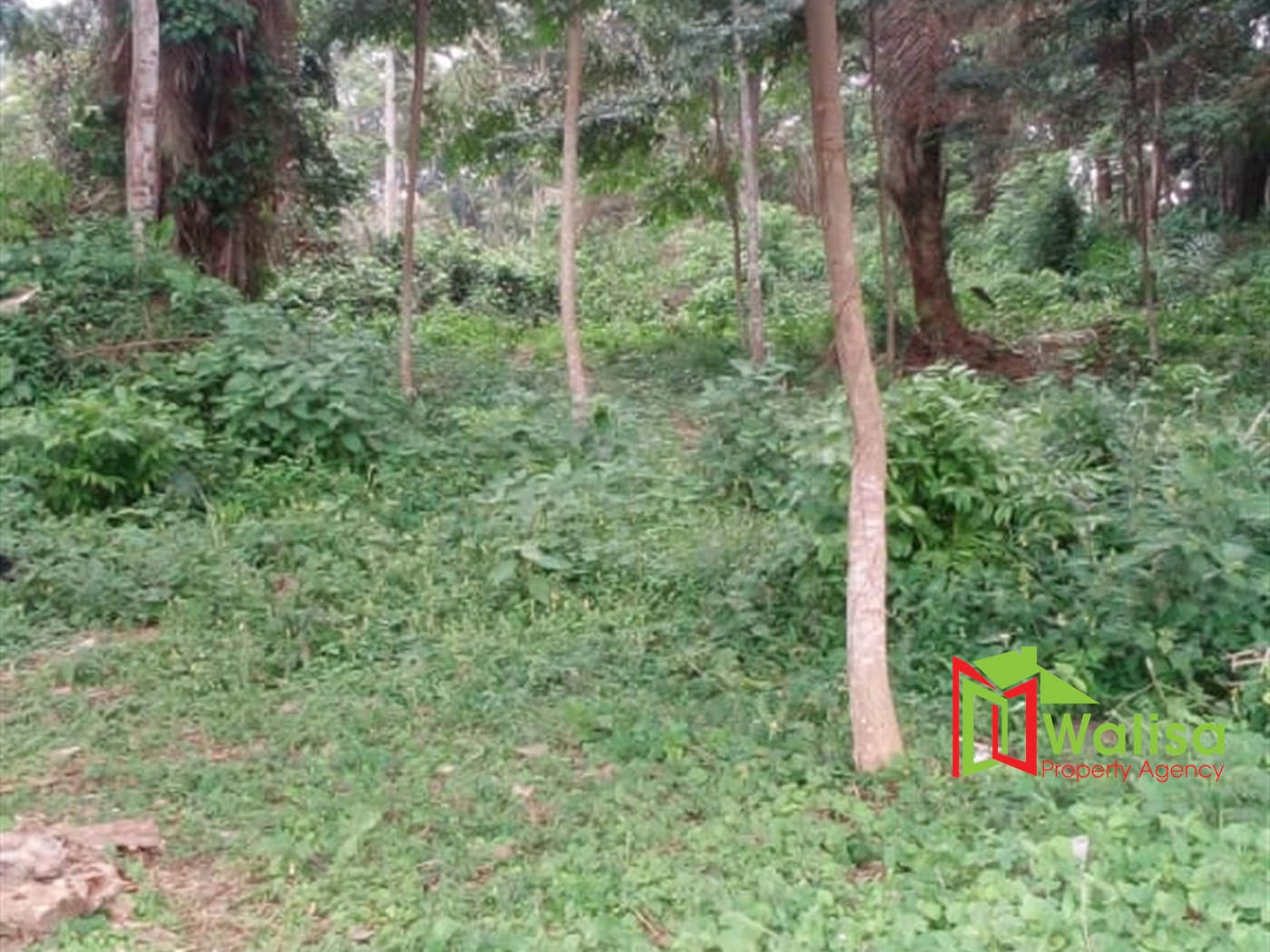 Commercial Land for sale in Bukasa Wakiso