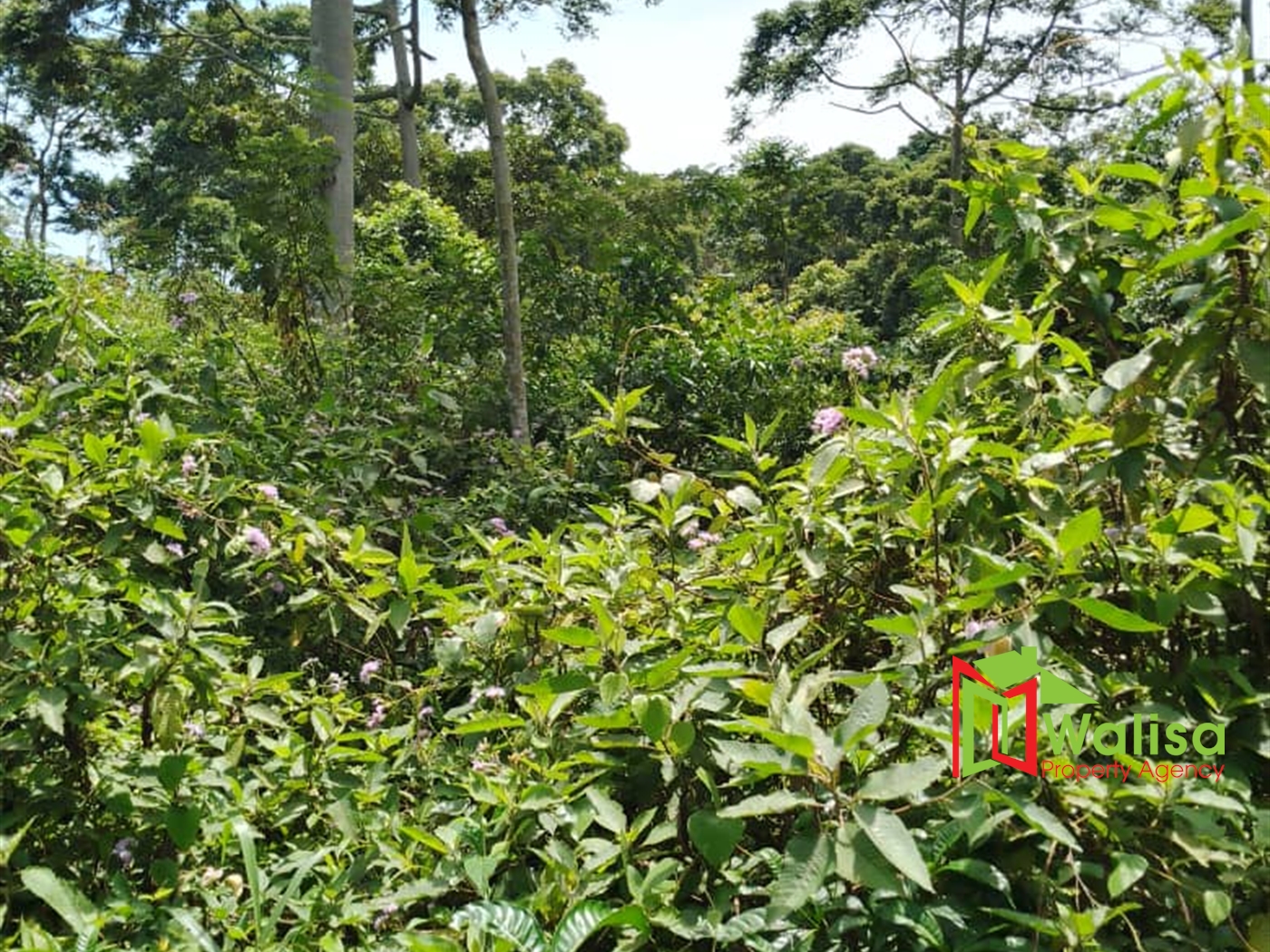 Commercial Land for sale in Bukasa Wakiso