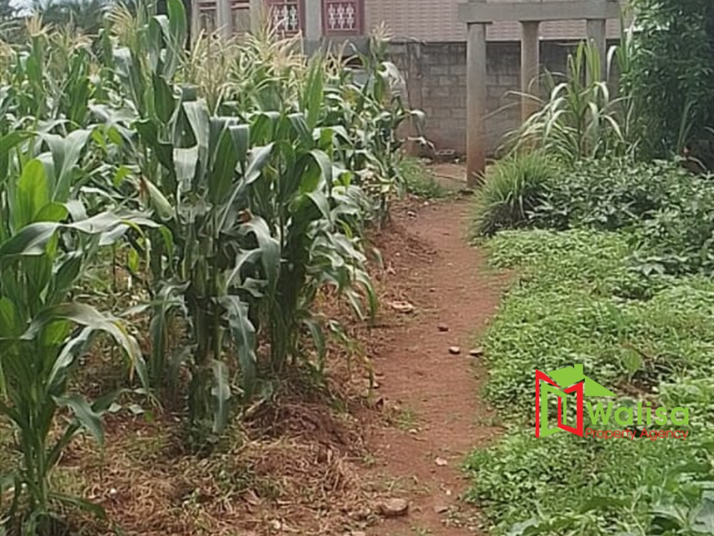 Farm for sale in Bwelenga Wakiso