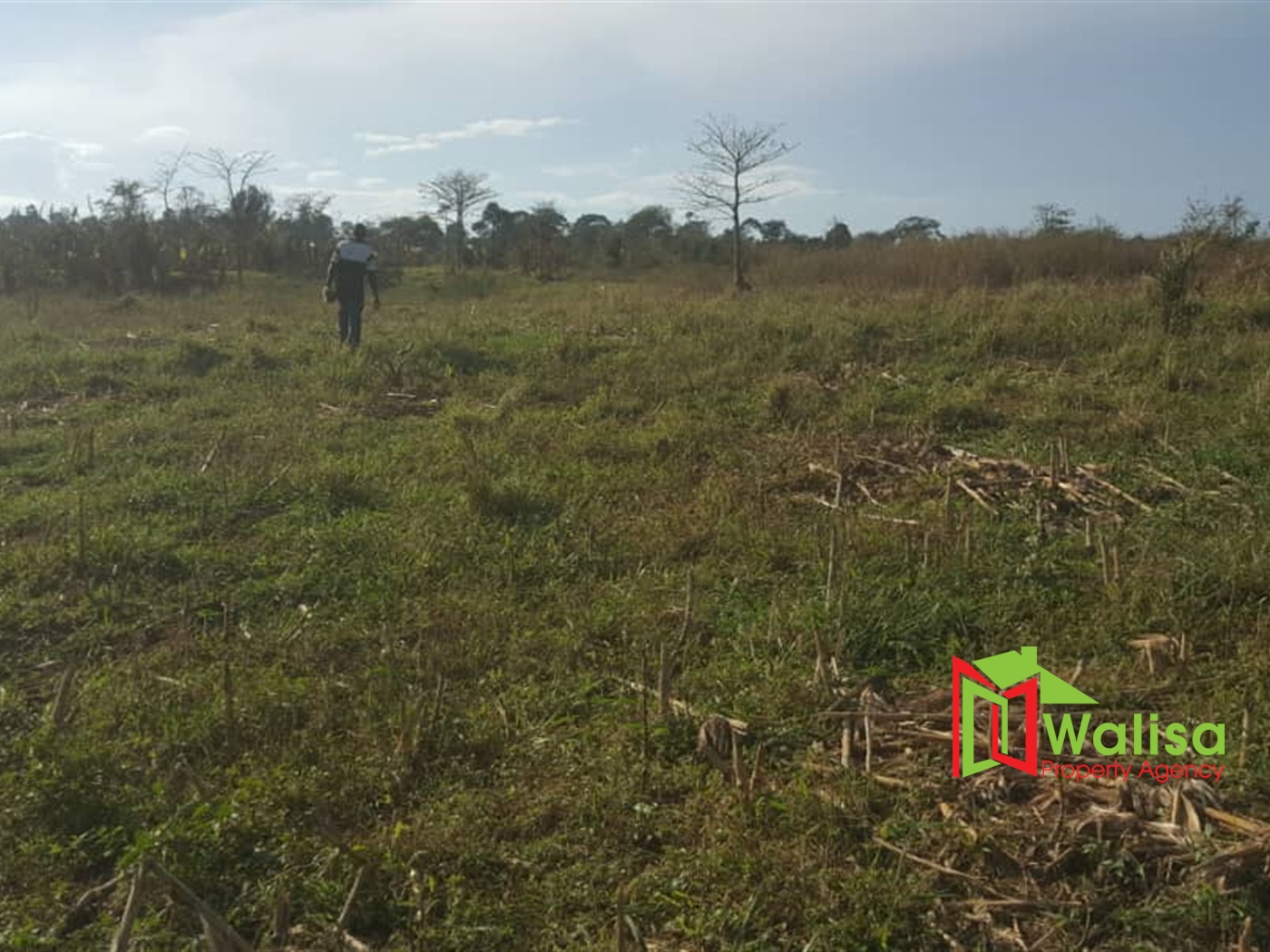 Commercial Land for sale in Mpunga Mukono