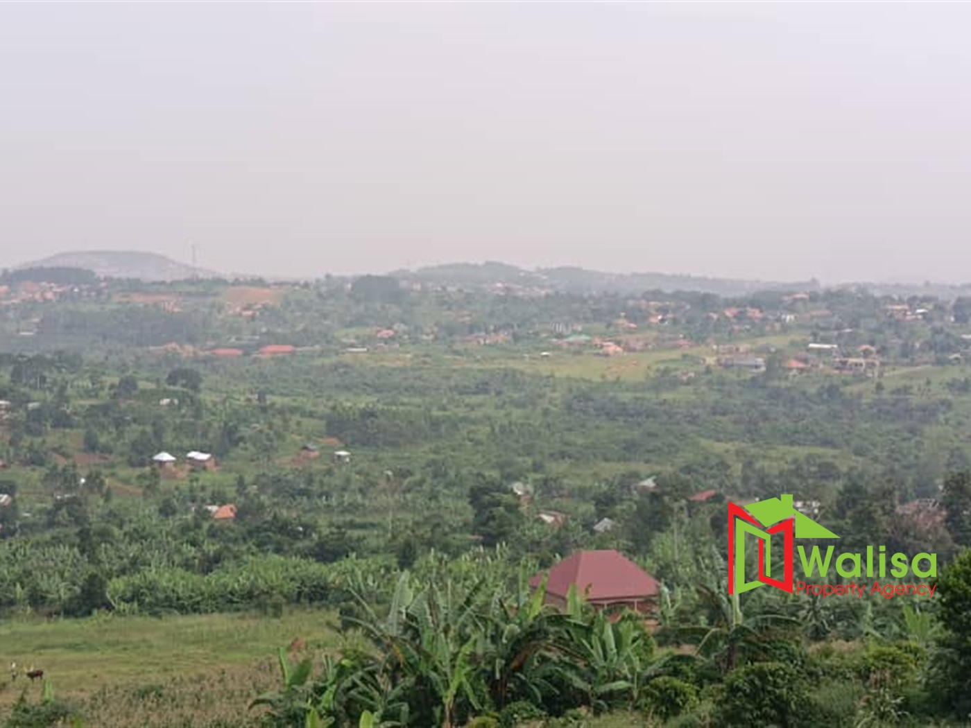 Commercial Land for sale in Nsuube Wakiso