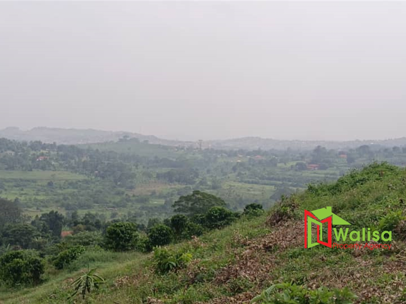 Commercial Land for sale in Nsuube Wakiso