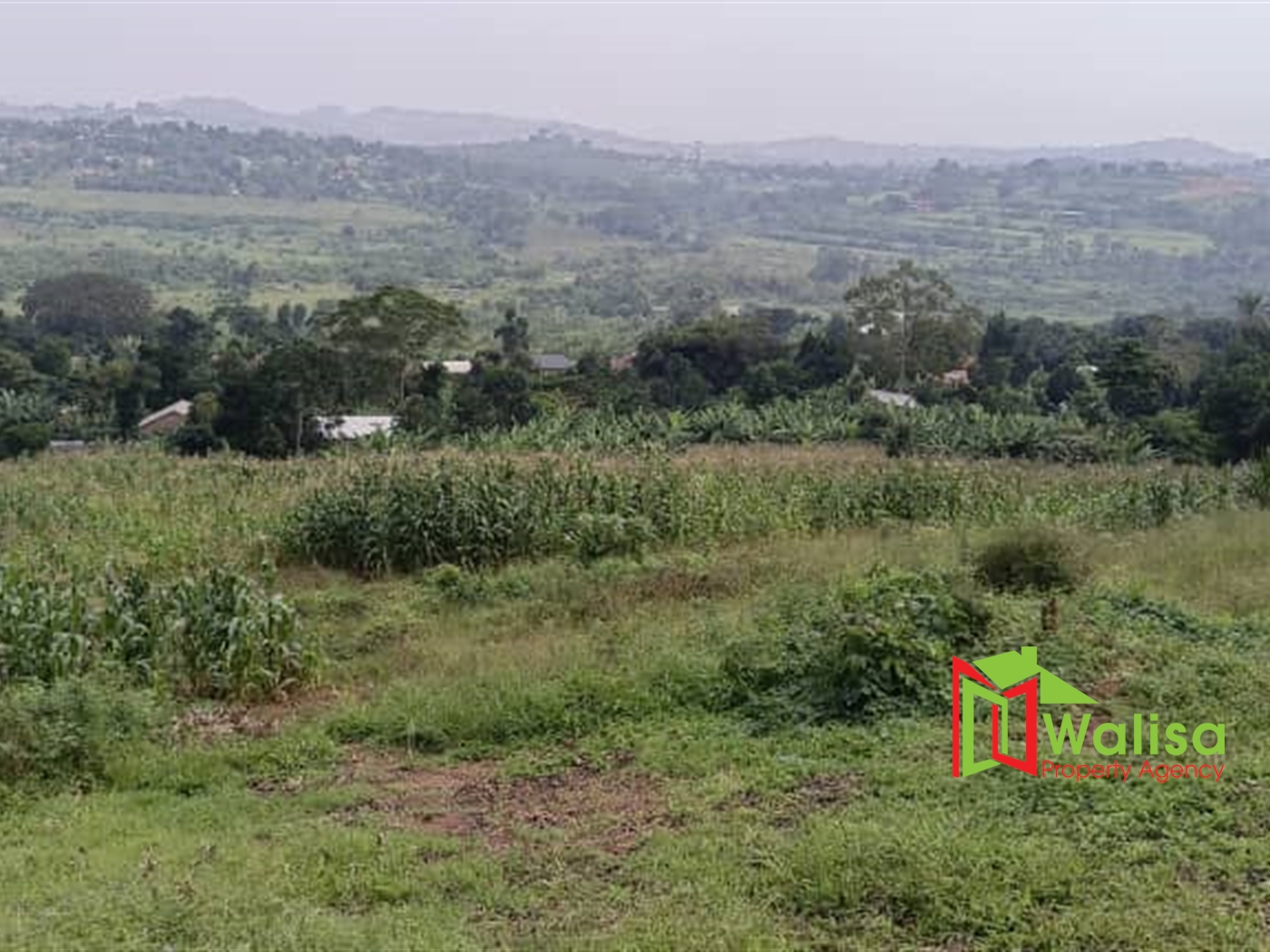 Commercial Land for sale in Nsuube Wakiso