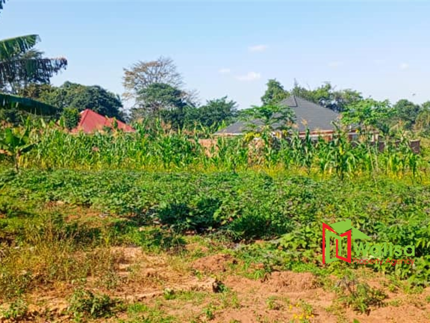 Farm for sale in Matugga Wakiso