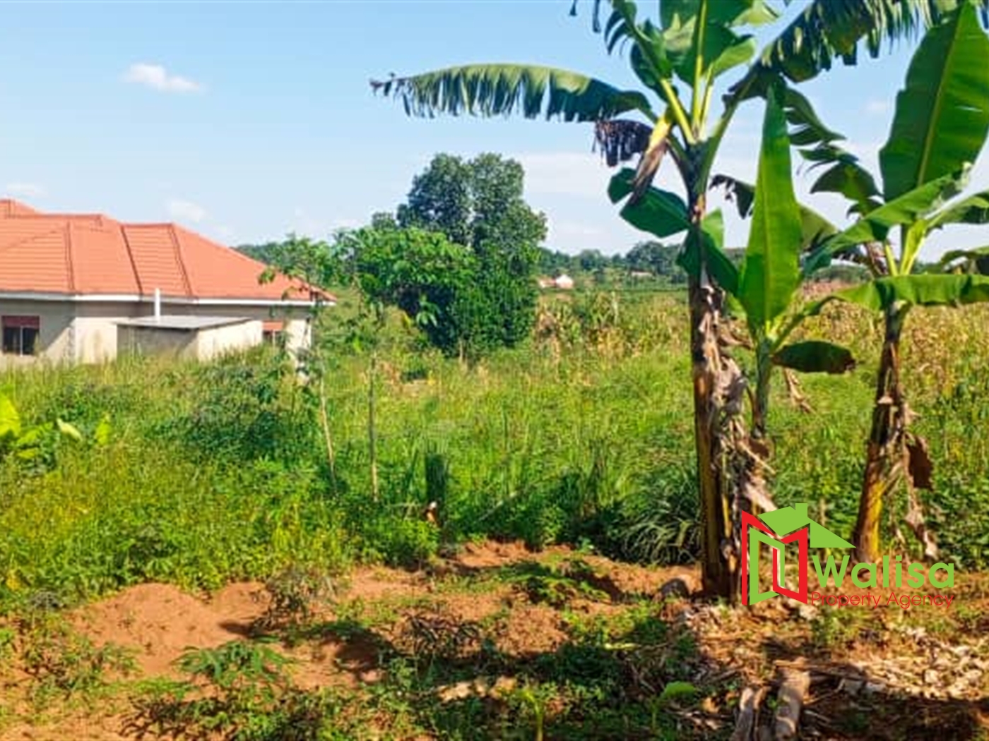 Farm for sale in Matugga Wakiso