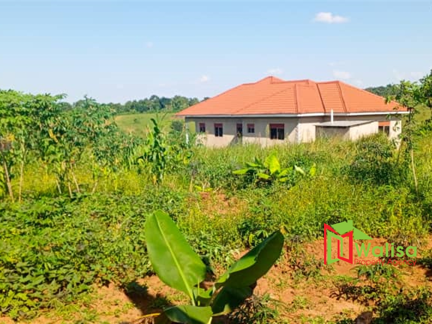 Farm for sale in Matugga Wakiso