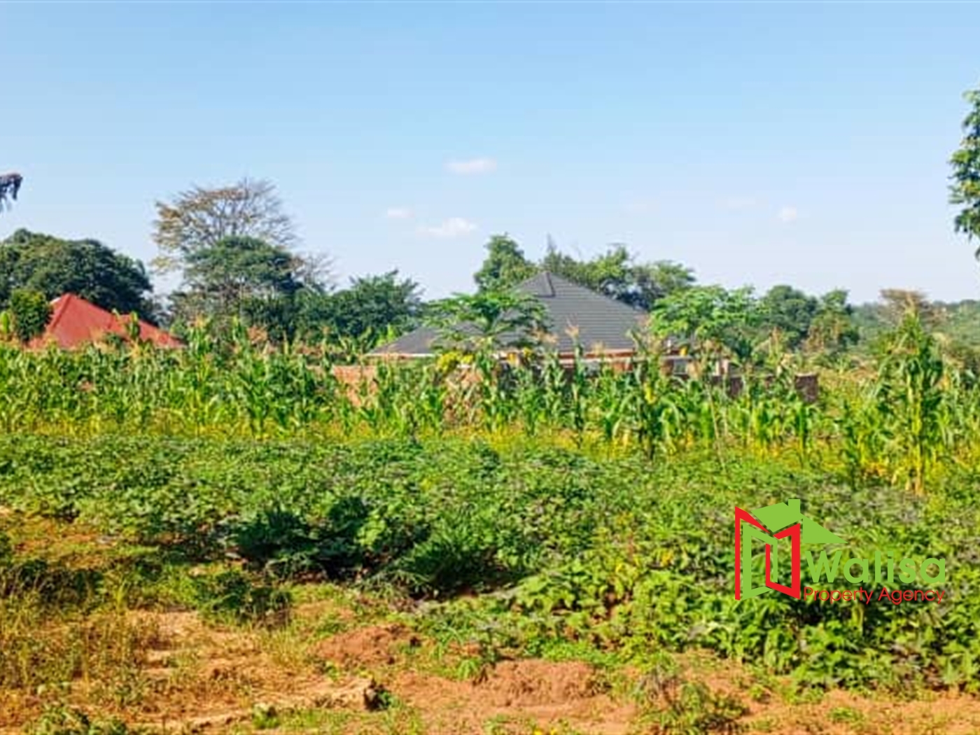 Farm for sale in Matugga Wakiso