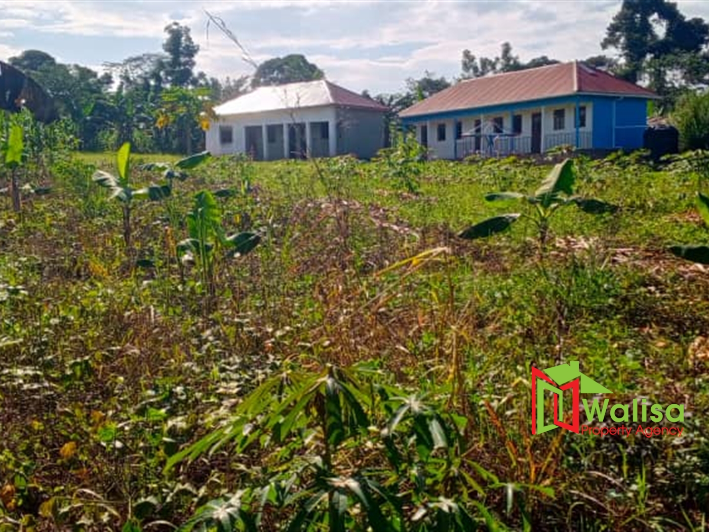 Farm for sale in Matugga Wakiso