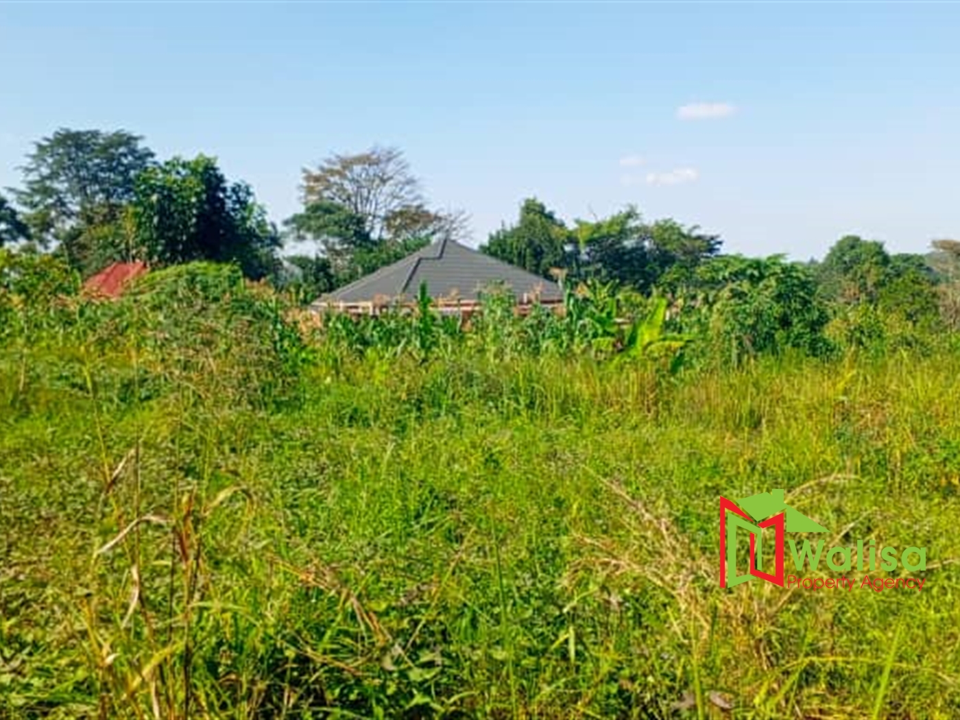 Farm for sale in Matugga Wakiso