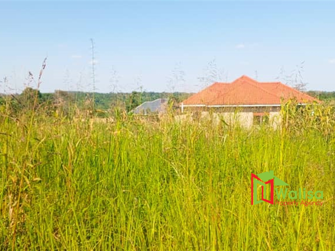 Farm for sale in Matugga Wakiso