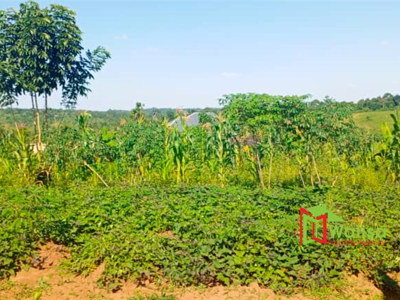 Farm for sale in Matugga Wakiso