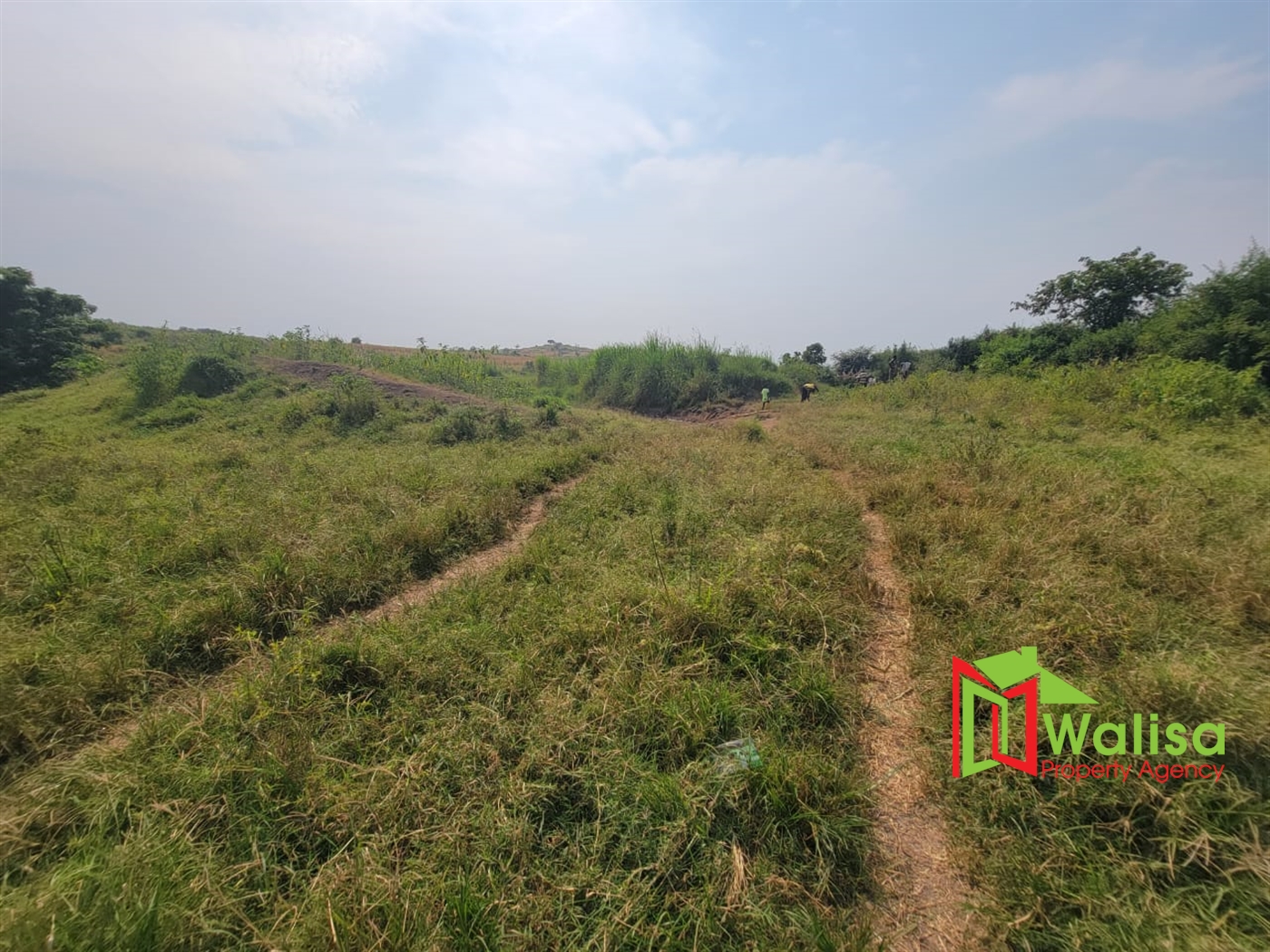 Agricultural Land for sale in Kigorobya Hoima