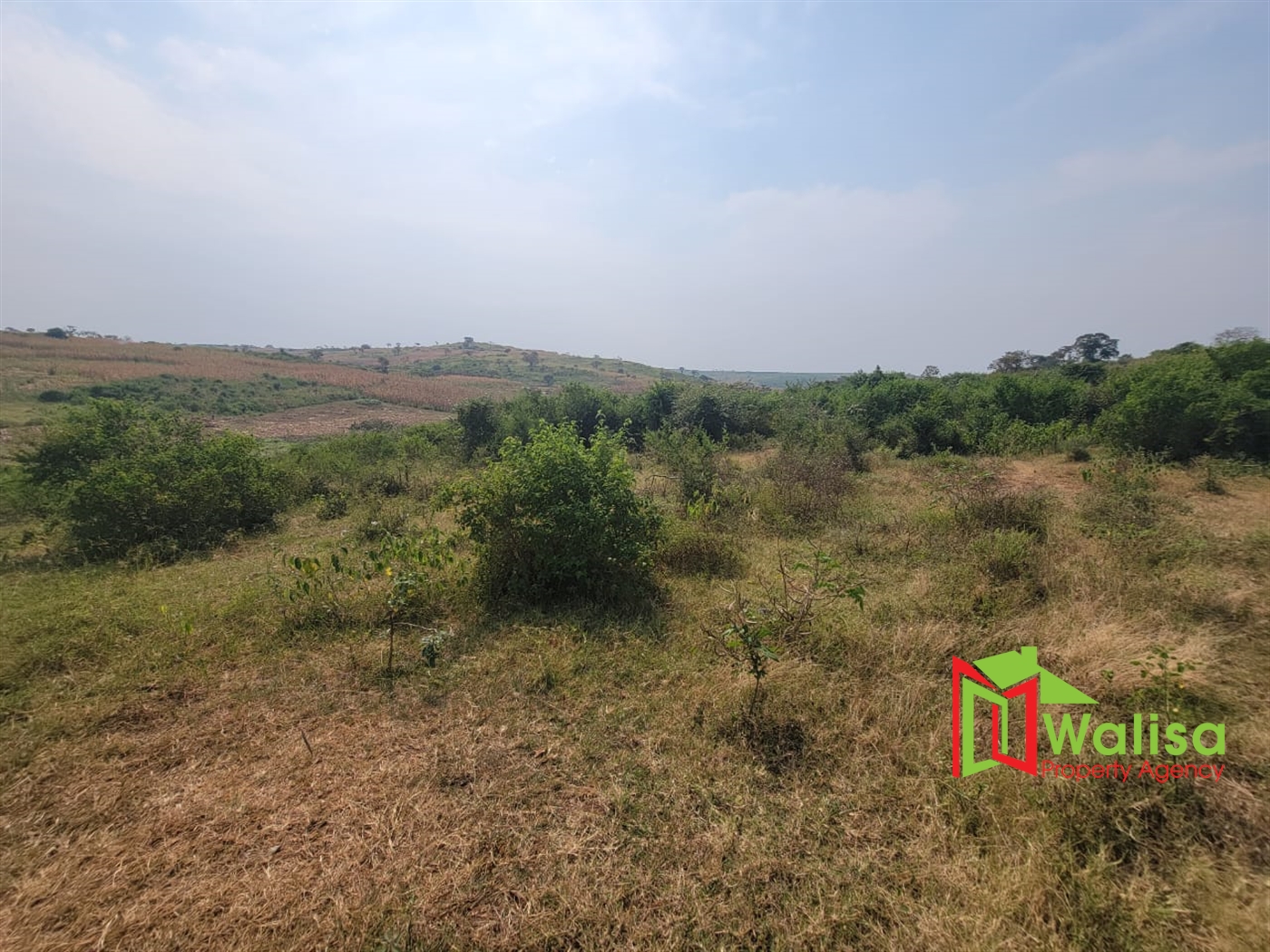 Agricultural Land for sale in Kigorobya Hoima