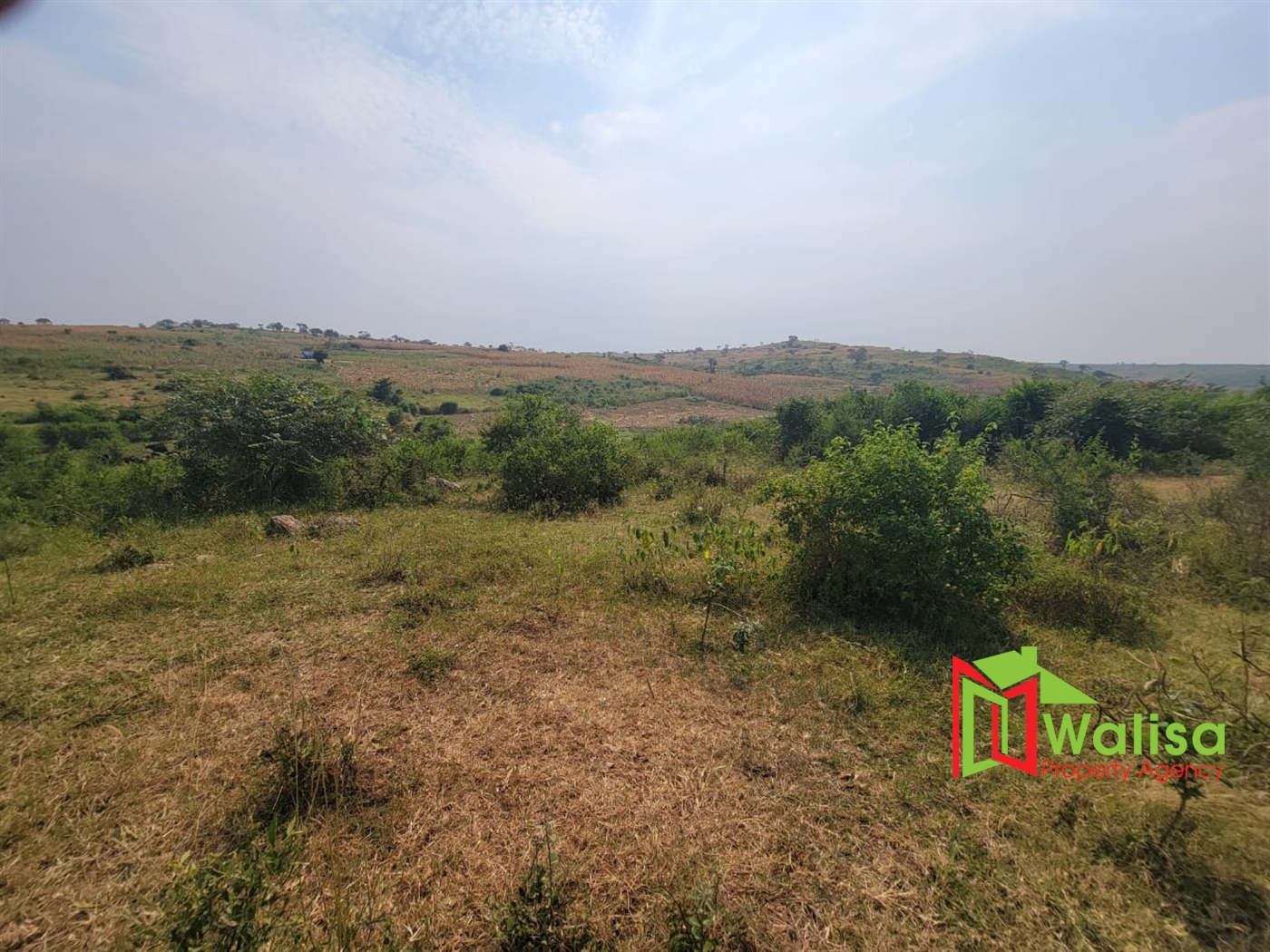 Agricultural Land for sale in Kigorobya Hoima