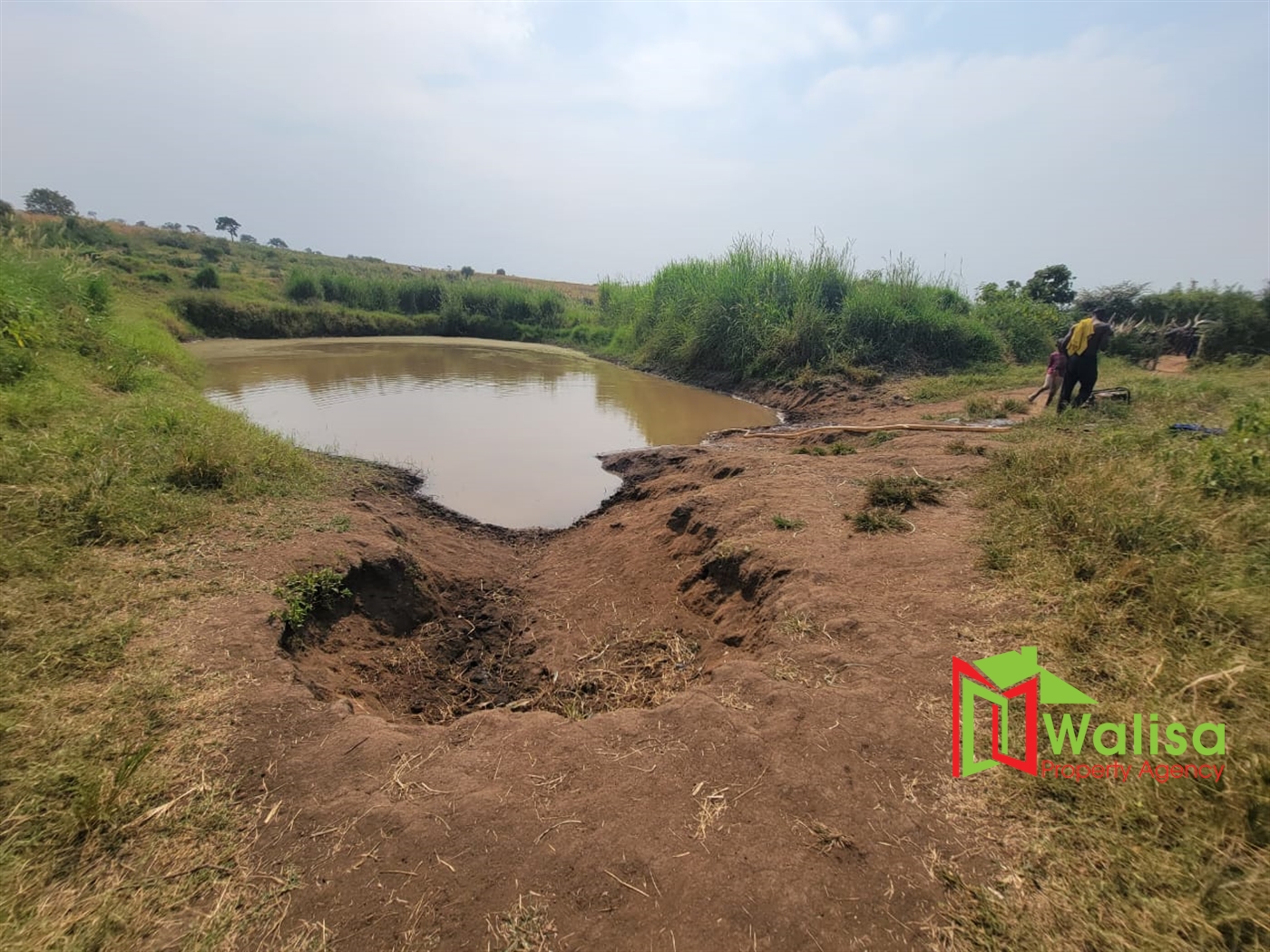 Agricultural Land for sale in Kigorobya Hoima