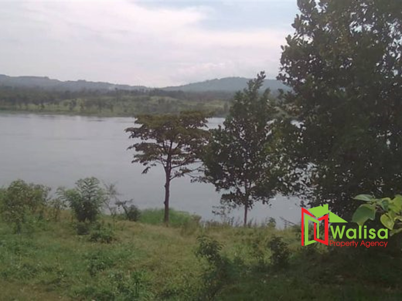 Commercial Land for sale in Bbaale Kayunga