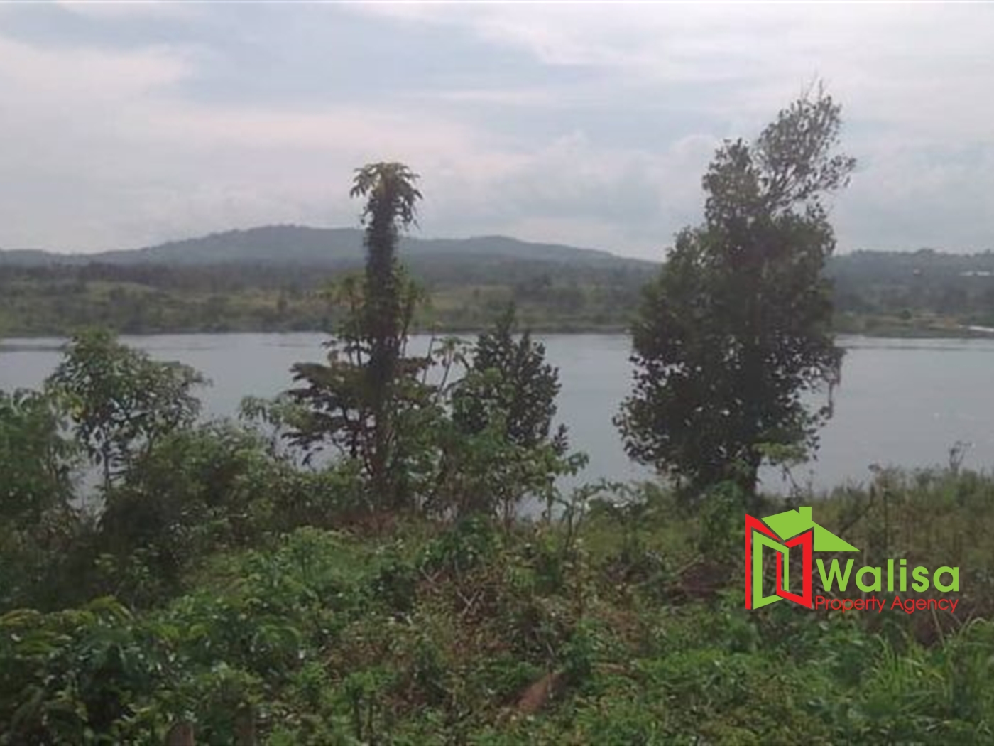 Commercial Land for sale in Bbaale Kayunga