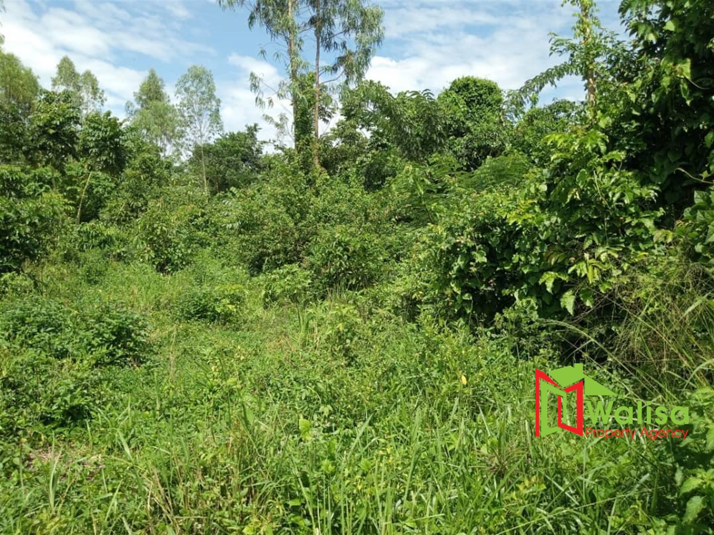 Commercial Land for sale in Bbaale Kayunga