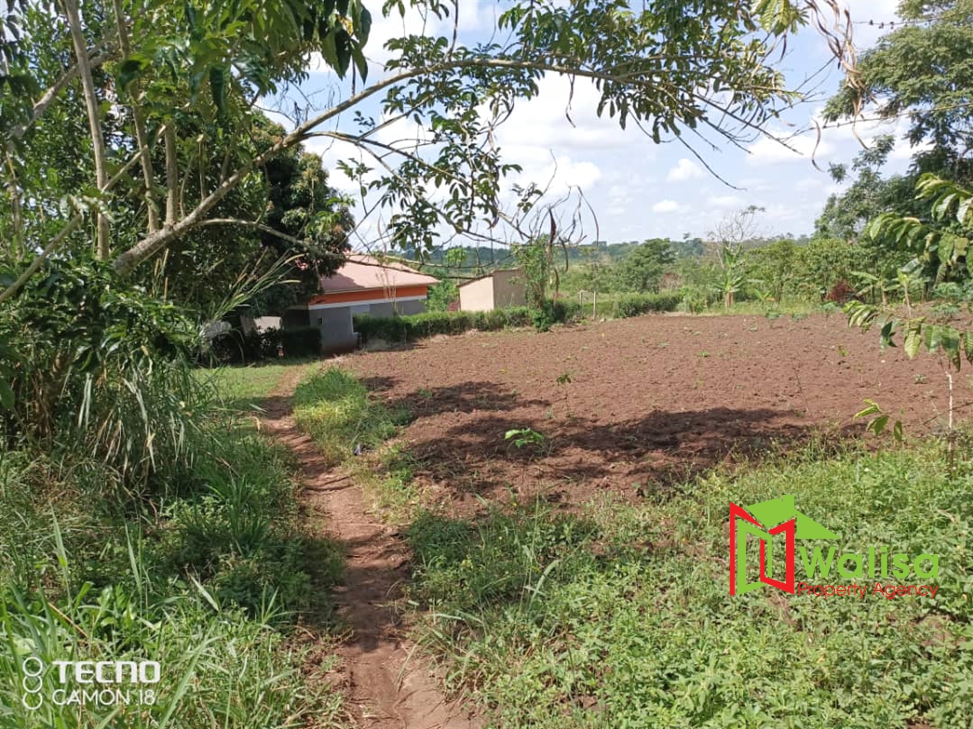 Residential Land for sale in Kiwoko Nakaseke