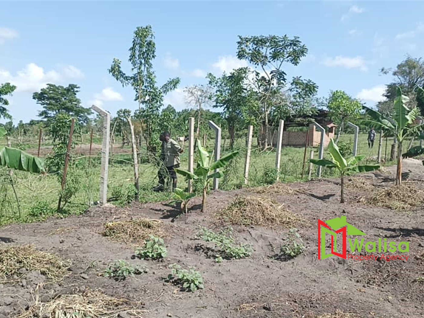 Residential Land for sale in Kiwoko Nakaseke