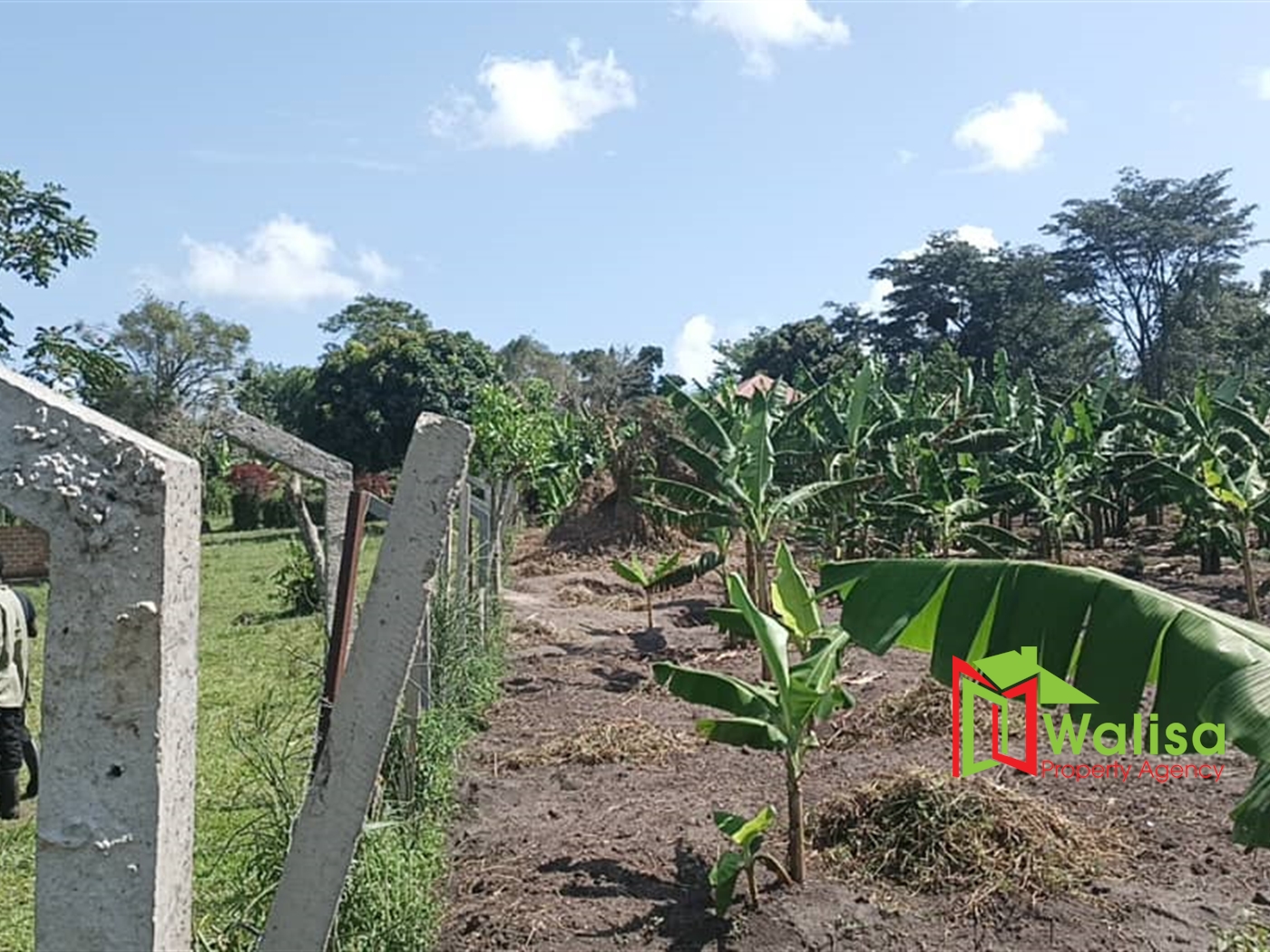 Residential Land for sale in Kiwoko Nakaseke